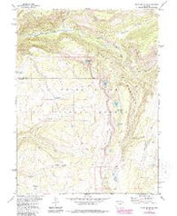 Blair Mountain Colorado Historical topographic map, 1:24000 scale, 7.5 X 7.5 Minute, Year 1977