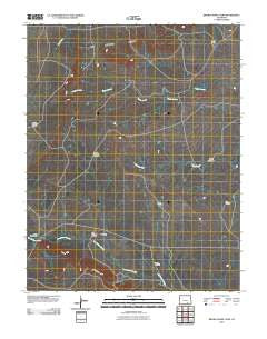 Brown Sheep Camp Colorado Historical topographic map, 1:24000 scale, 7.5 X 7.5 Minute, Year 2010