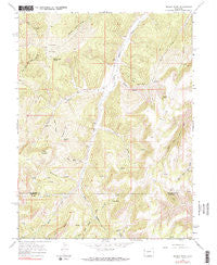 Brushy Point Colorado Historical topographic map, 1:24000 scale, 7.5 X 7.5 Minute, Year 1964