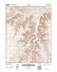 Buck Canyon Colorado Historical topographic map, 1:24000 scale, 7.5 X 7.5 Minute, Year 2013