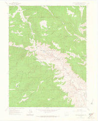 Buckhorn Mountain Colorado Historical topographic map, 1:24000 scale, 7.5 X 7.5 Minute, Year 1962