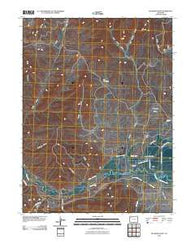 Buckskin Point Colorado Historical topographic map, 1:24000 scale, 7.5 X 7.5 Minute, Year 2010