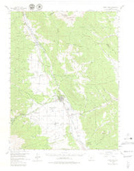 Buena Vista Colorado Historical topographic map, 1:62500 scale, 15 X 15 Minute, Year 1955