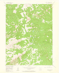 Buffalo Pass Colorado Historical topographic map, 1:24000 scale, 7.5 X 7.5 Minute, Year 1955