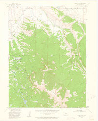 Buffalo Peak Colorado Historical topographic map, 1:24000 scale, 7.5 X 7.5 Minute, Year 1956