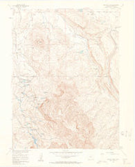 Buffalo Peak Colorado Historical topographic map, 1:24000 scale, 7.5 X 7.5 Minute, Year 1956