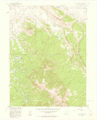 Buffalo Peak Colorado Historical topographic map, 1:24000 scale, 7.5 X 7.5 Minute, Year 1956