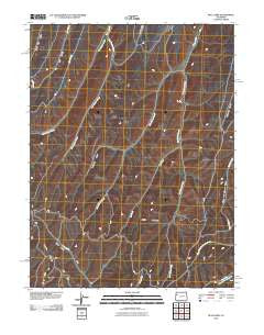 Bull Fork Colorado Historical topographic map, 1:24000 scale, 7.5 X 7.5 Minute, Year 2010