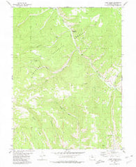 Cabin Creek Colorado Historical topographic map, 1:24000 scale, 7.5 X 7.5 Minute, Year 1980