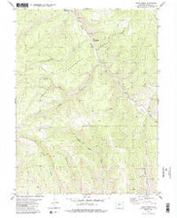 Cabin Creek Colorado Historical topographic map, 1:24000 scale, 7.5 X 7.5 Minute, Year 1980