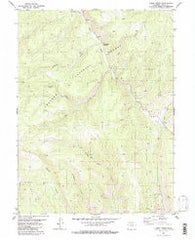 Cabin Creek Colorado Historical topographic map, 1:24000 scale, 7.5 X 7.5 Minute, Year 1980