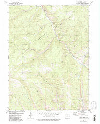 Cabin Creek Colorado Historical topographic map, 1:24000 scale, 7.5 X 7.5 Minute, Year 1980