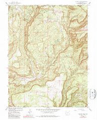 Calamity Mesa Colorado Historical topographic map, 1:24000 scale, 7.5 X 7.5 Minute, Year 1960