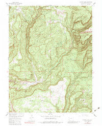Calamity Mesa Colorado Historical topographic map, 1:24000 scale, 7.5 X 7.5 Minute, Year 1960
