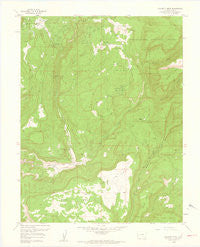 Calamity Mesa Colorado Historical topographic map, 1:24000 scale, 7.5 X 7.5 Minute, Year 1960