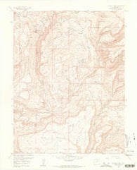 Calamity Mesa Colorado Historical topographic map, 1:24000 scale, 7.5 X 7.5 Minute, Year 1960