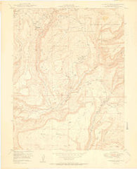 Calamity Mesa Colorado Historical topographic map, 1:24000 scale, 7.5 X 7.5 Minute, Year 1950