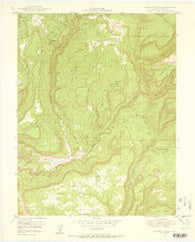 Calamity Mesa Colorado Historical topographic map, 1:24000 scale, 7.5 X 7.5 Minute, Year 1949