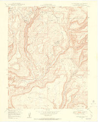 Calamity Mesa Colorado Historical topographic map, 1:24000 scale, 7.5 X 7.5 Minute, Year 1949