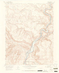 Cameo Colorado Historical topographic map, 1:24000 scale, 7.5 X 7.5 Minute, Year 1955