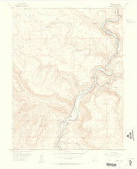 Cameo Colorado Historical topographic map, 1:24000 scale, 7.5 X 7.5 Minute, Year 1955