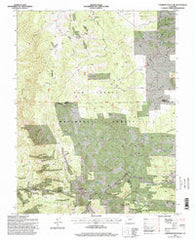 Cameron Mountain Colorado Historical topographic map, 1:24000 scale, 7.5 X 7.5 Minute, Year 1994