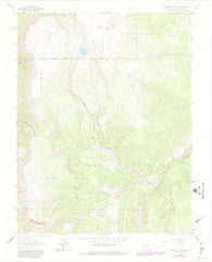 Cannibal Plateau Colorado Historical topographic map, 1:24000 scale, 7.5 X 7.5 Minute, Year 1963