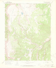 Cannibal Plateau Colorado Historical topographic map, 1:24000 scale, 7.5 X 7.5 Minute, Year 1963
