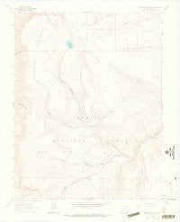 Cannibal Plateau Colorado Historical topographic map, 1:24000 scale, 7.5 X 7.5 Minute, Year 1963