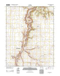 Capps Springs Colorado Historical topographic map, 1:24000 scale, 7.5 X 7.5 Minute, Year 2013