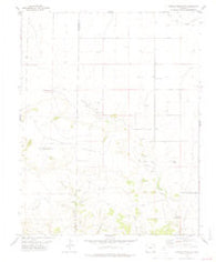 Carrizo Mountain Colorado Historical topographic map, 1:24000 scale, 7.5 X 7.5 Minute, Year 1978