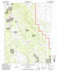 Castle Rock Gulch Colorado Historical topographic map, 1:24000 scale, 7.5 X 7.5 Minute, Year 1994