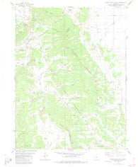 Castle Rock Gulch Colorado Historical topographic map, 1:24000 scale, 7.5 X 7.5 Minute, Year 1983