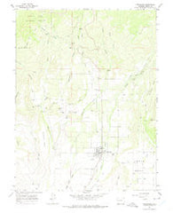 Cedaredge Colorado Historical topographic map, 1:24000 scale, 7.5 X 7.5 Minute, Year 1965