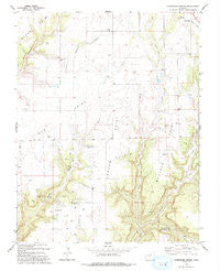 Champagne Spring Colorado Historical topographic map, 1:24000 scale, 7.5 X 7.5 Minute, Year 1993