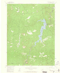 Cheesman Lake Colorado Historical topographic map, 1:24000 scale, 7.5 X 7.5 Minute, Year 1956