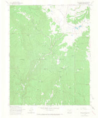 Chris Mountain Colorado Historical topographic map, 1:24000 scale, 7.5 X 7.5 Minute, Year 1964