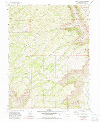 Circle Dot Gulch Colorado Historical topographic map, 1:24000 scale, 7.5 X 7.5 Minute, Year 1971