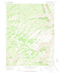 Circle Dot Gulch Colorado Historical topographic map, 1:24000 scale, 7.5 X 7.5 Minute, Year 1971