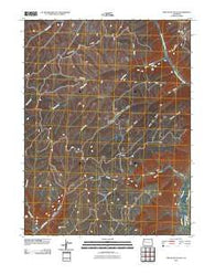 Circle Dot Gulch Colorado Historical topographic map, 1:24000 scale, 7.5 X 7.5 Minute, Year 2010