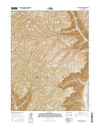 Circle Dot Gulch Colorado Current topographic map, 1:24000 scale, 7.5 X 7.5 Minute, Year 2016