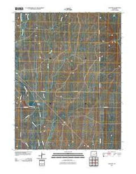 Clifford Colorado Historical topographic map, 1:24000 scale, 7.5 X 7.5 Minute, Year 2010