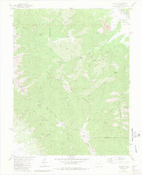 Coaldale Colorado Historical topographic map, 1:24000 scale, 7.5 X 7.5 Minute, Year 1980