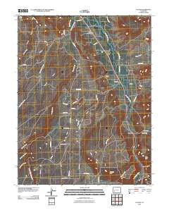 Colona Colorado Historical topographic map, 1:24000 scale, 7.5 X 7.5 Minute, Year 2010