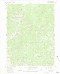Corral Peaks Colorado Historical topographic map, 1:24000 scale, 7.5 X 7.5 Minute, Year 1980