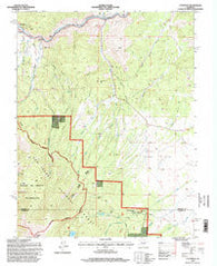 Cotopaxi Colorado Historical topographic map, 1:24000 scale, 7.5 X 7.5 Minute, Year 1994