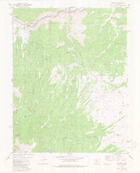 Cotopaxi Colorado Historical topographic map, 1:24000 scale, 7.5 X 7.5 Minute, Year 1980