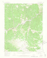Cotopaxi Colorado Historical topographic map, 1:62500 scale, 15 X 15 Minute, Year 1959