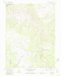 Cottonwood Pass Colorado Historical topographic map, 1:24000 scale, 7.5 X 7.5 Minute, Year 1961