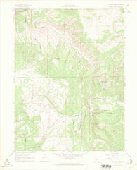 Cottonwood Pass Colorado Historical topographic map, 1:24000 scale, 7.5 X 7.5 Minute, Year 1961